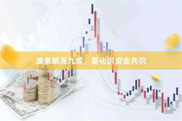 溴素飙涨九成，量化识资金共识