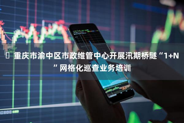 ‌重庆市渝中区市政维管中心开展汛期桥隧“1+N”网格化巡查业务培训